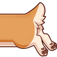 uhnCorgi3